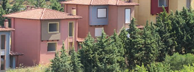 Nature and Surroundings